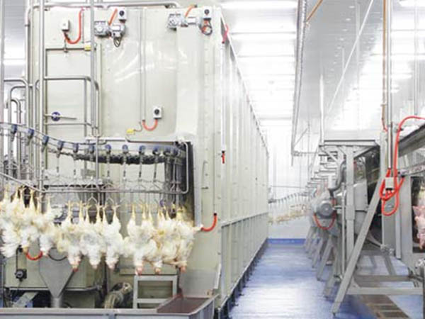 Dirty and waste water heat recovery - Poultry de feathering